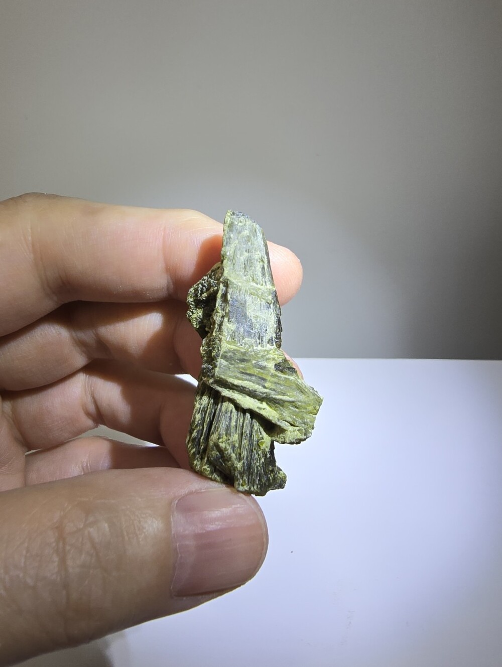 Epidote with Actinolite #C